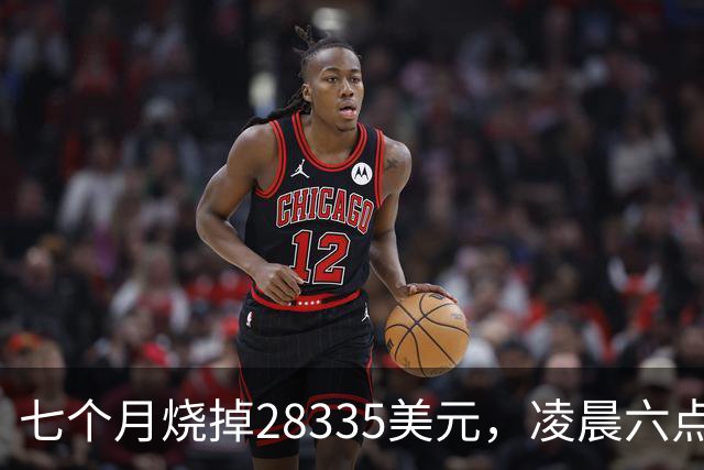 七个月烧掉28335美元，凌晨六点前的工具调用只有0.7%